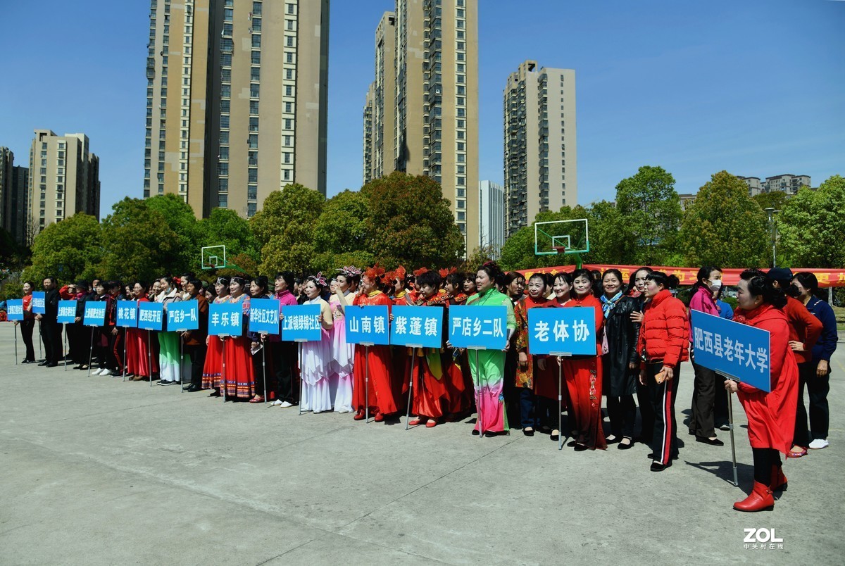 扇  舞 [荣获一等奖]