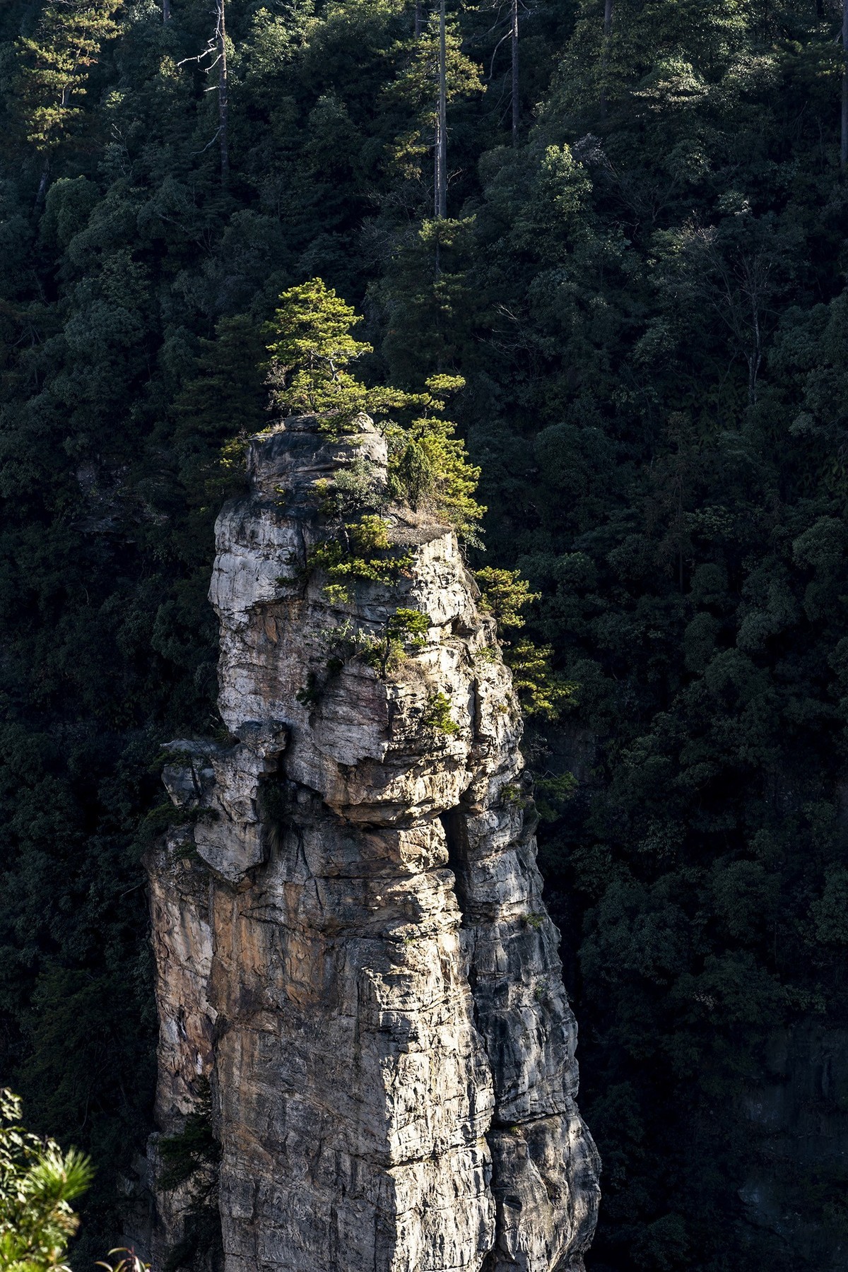 張家界:黃石寨景區2