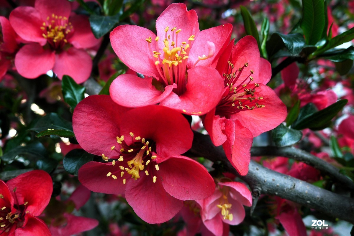 李杜祠新装后开放