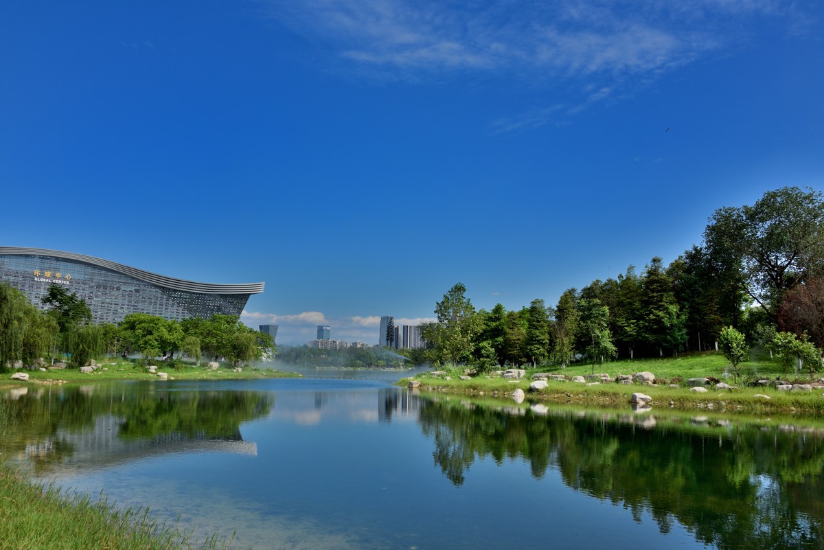 夏日的桂溪公园2