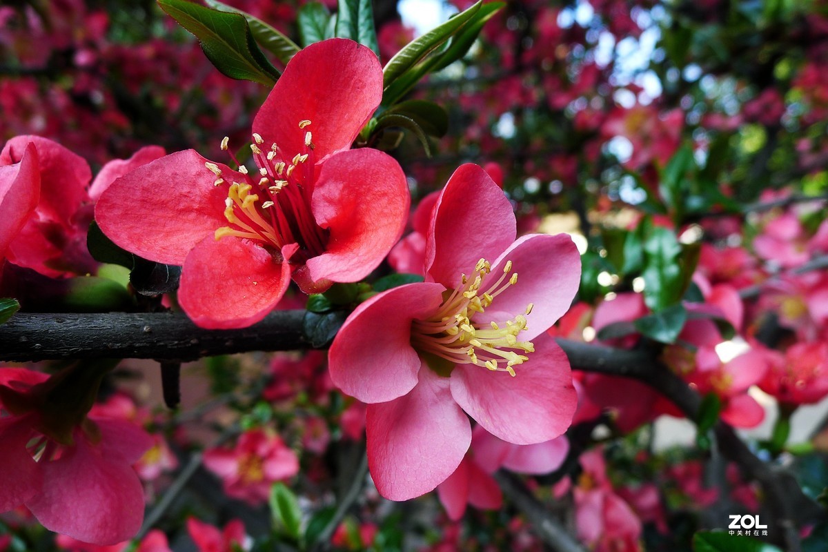 李杜祠新装后开放