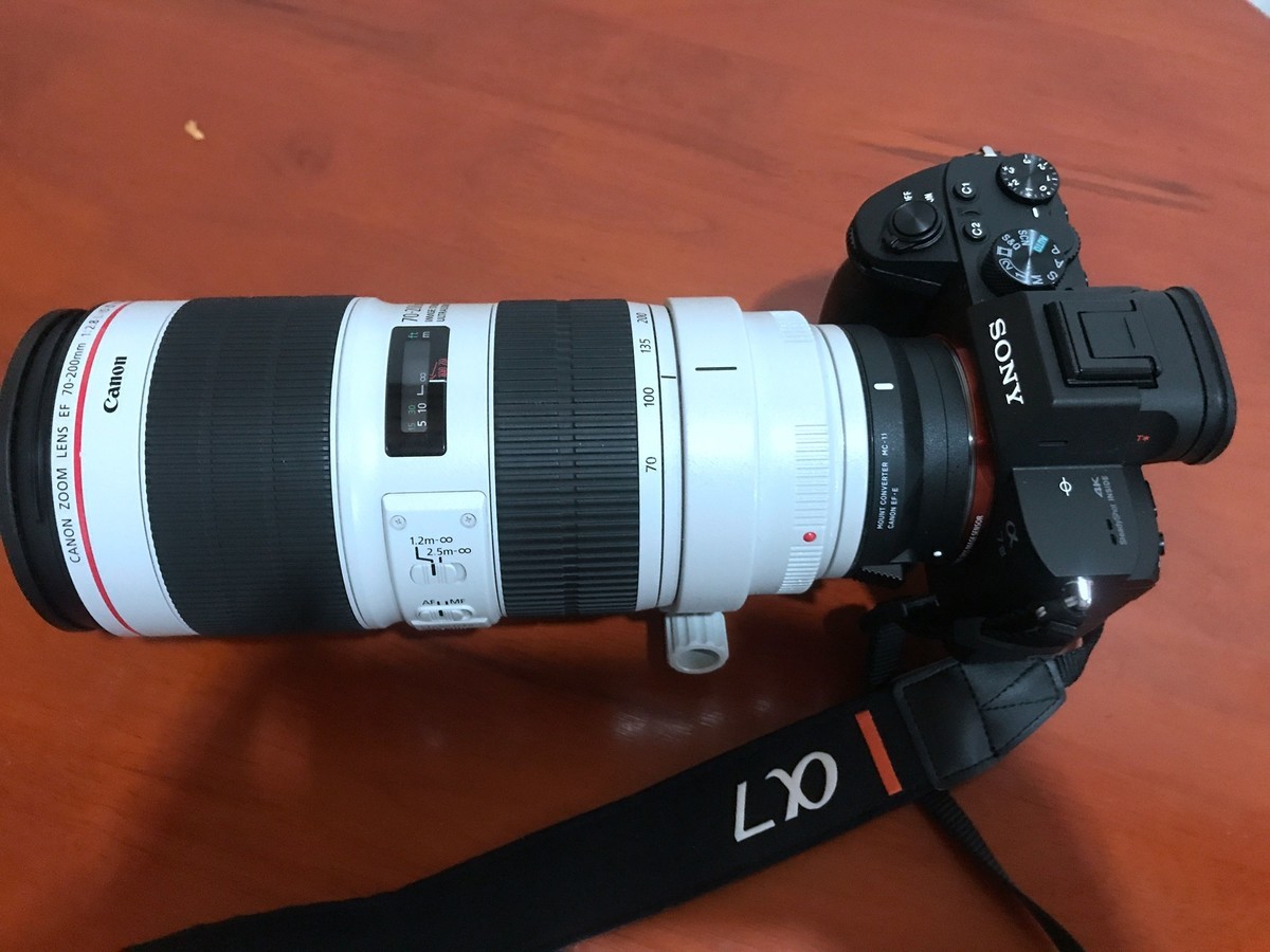 ★★★★★ A7M3用适马MC11转接佳能5个红圈镜头，试镜效果