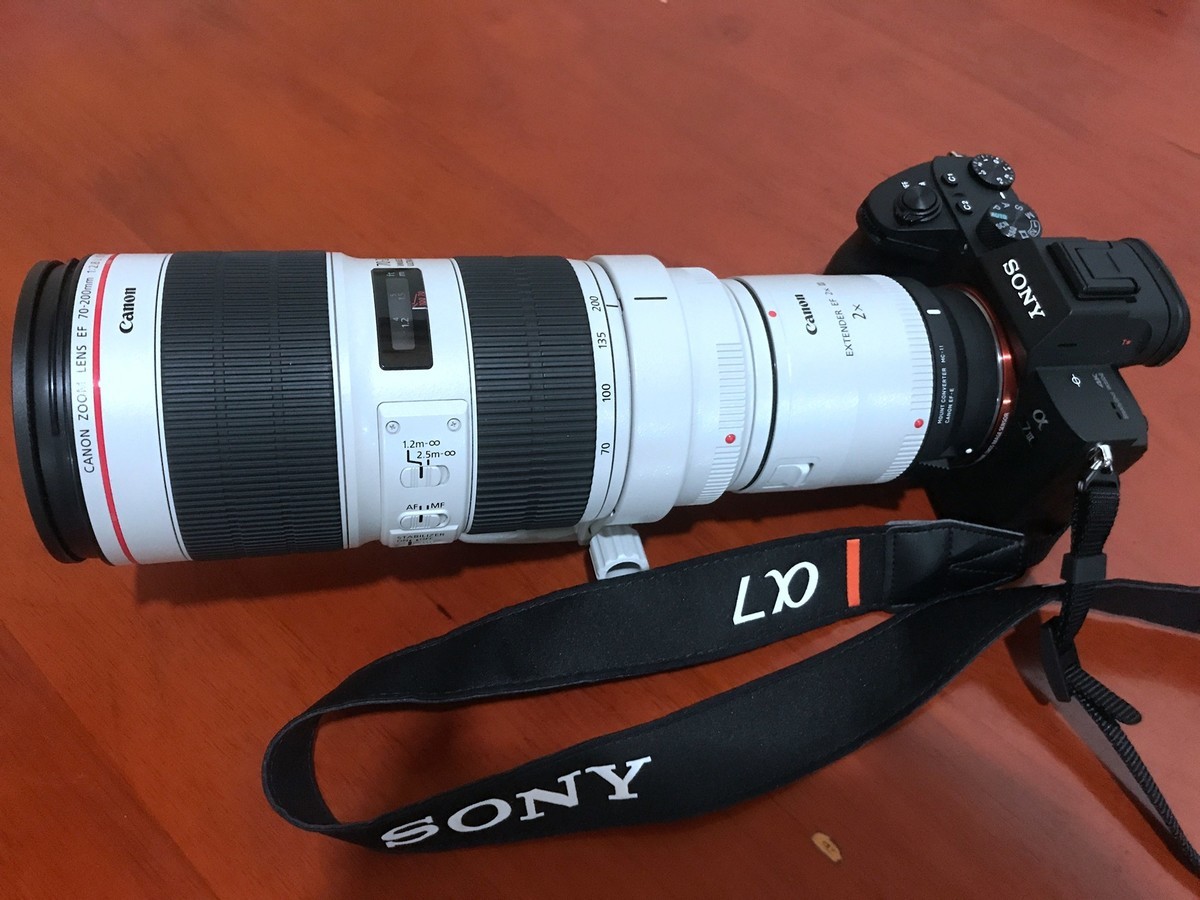 ★★★★★ A7M3用适马MC11转接佳能5个红圈镜头，试镜效果