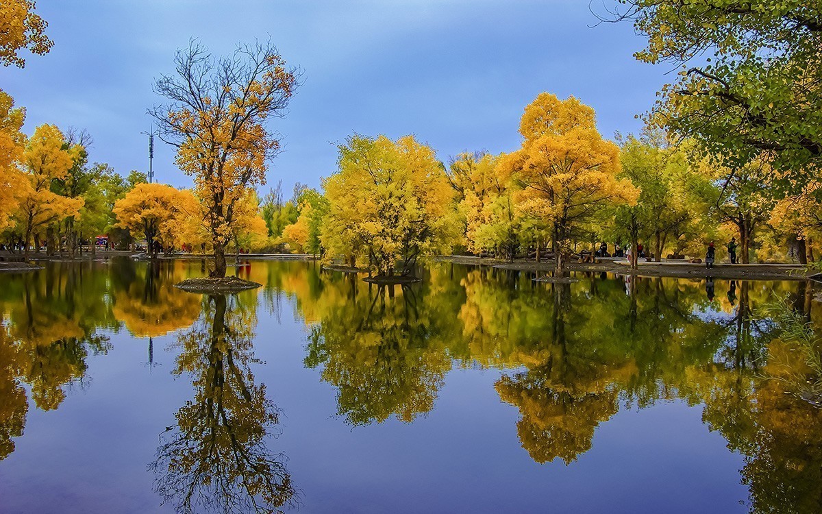 最美的秋天——金塔胡杨