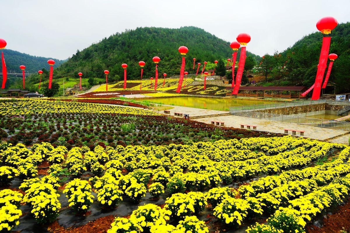 龙湖花海生态观光园图片