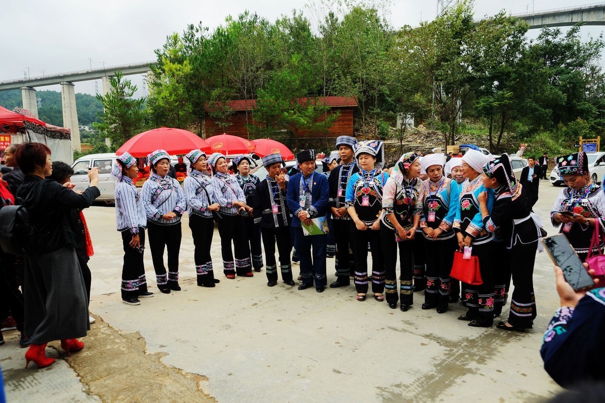 龙湖花海生态观光园开园当天游览随拍