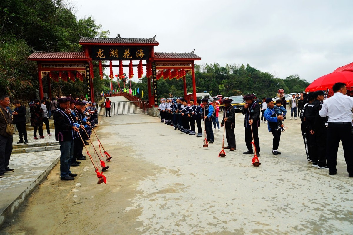 龙湖花海生态观光园开园当天游览随拍