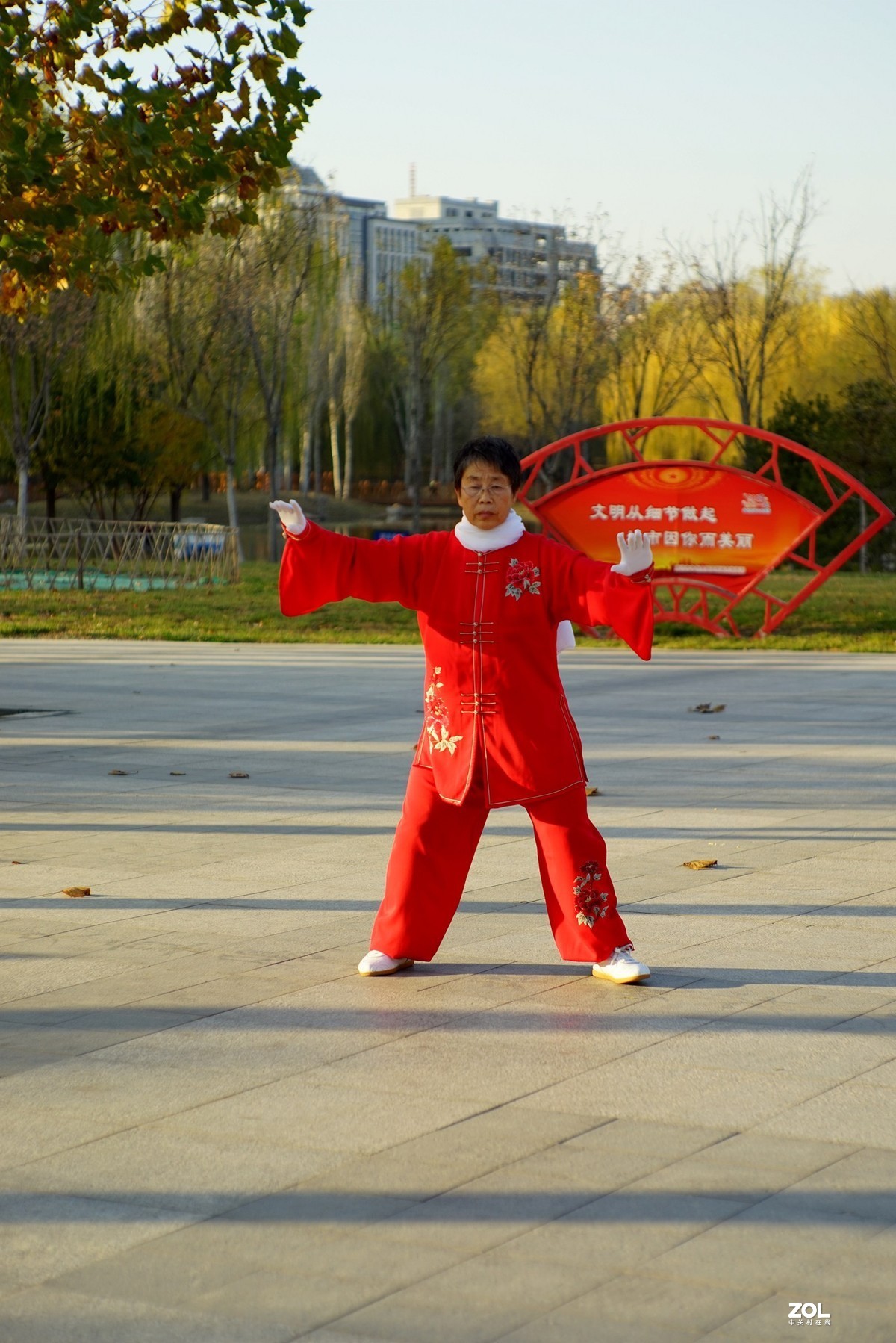 红装阿姨打太极