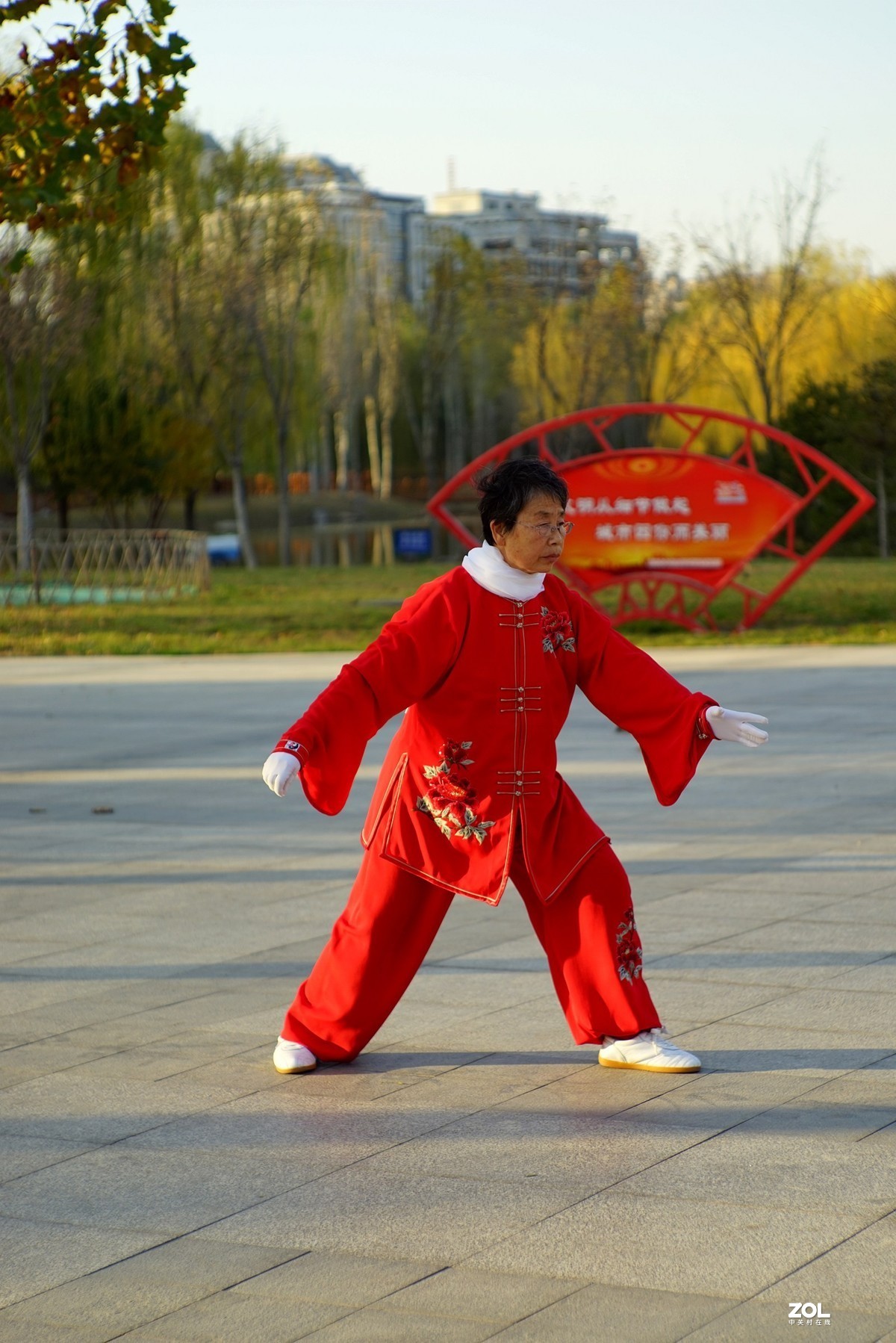 红装阿姨打太极