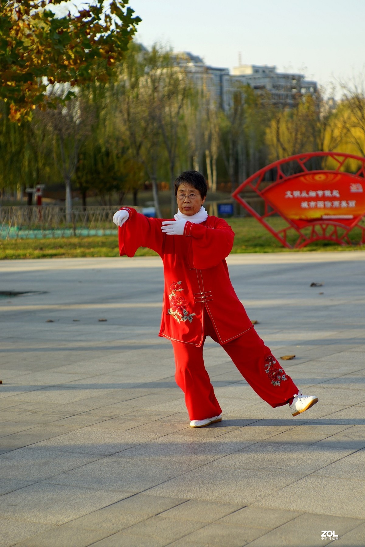 红装阿姨打太极