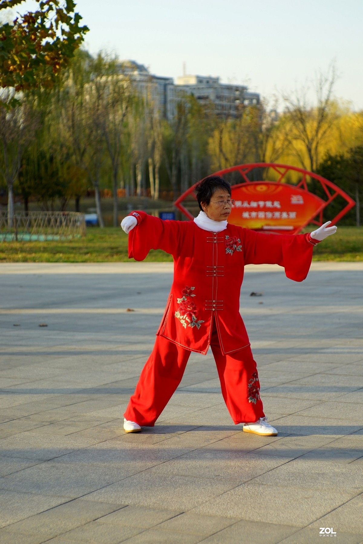 红装阿姨打太极