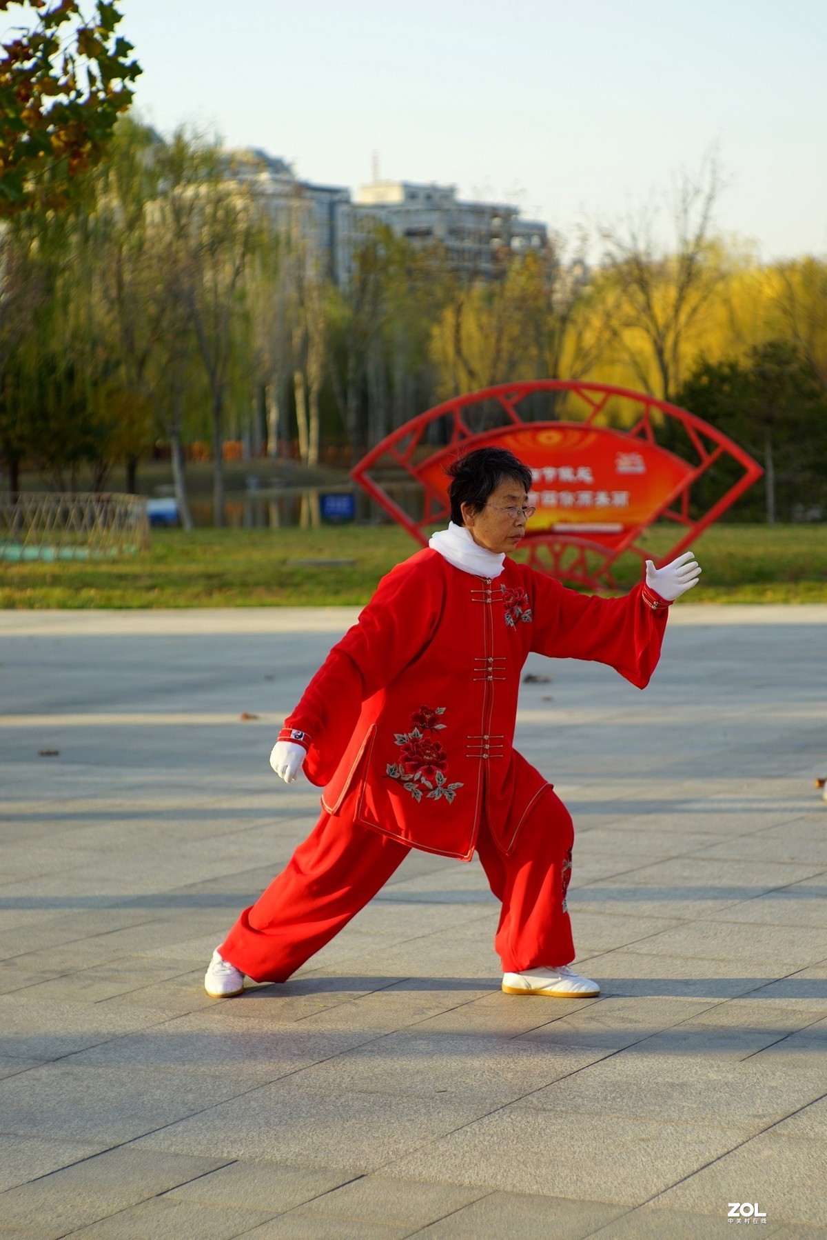 红装阿姨打太极