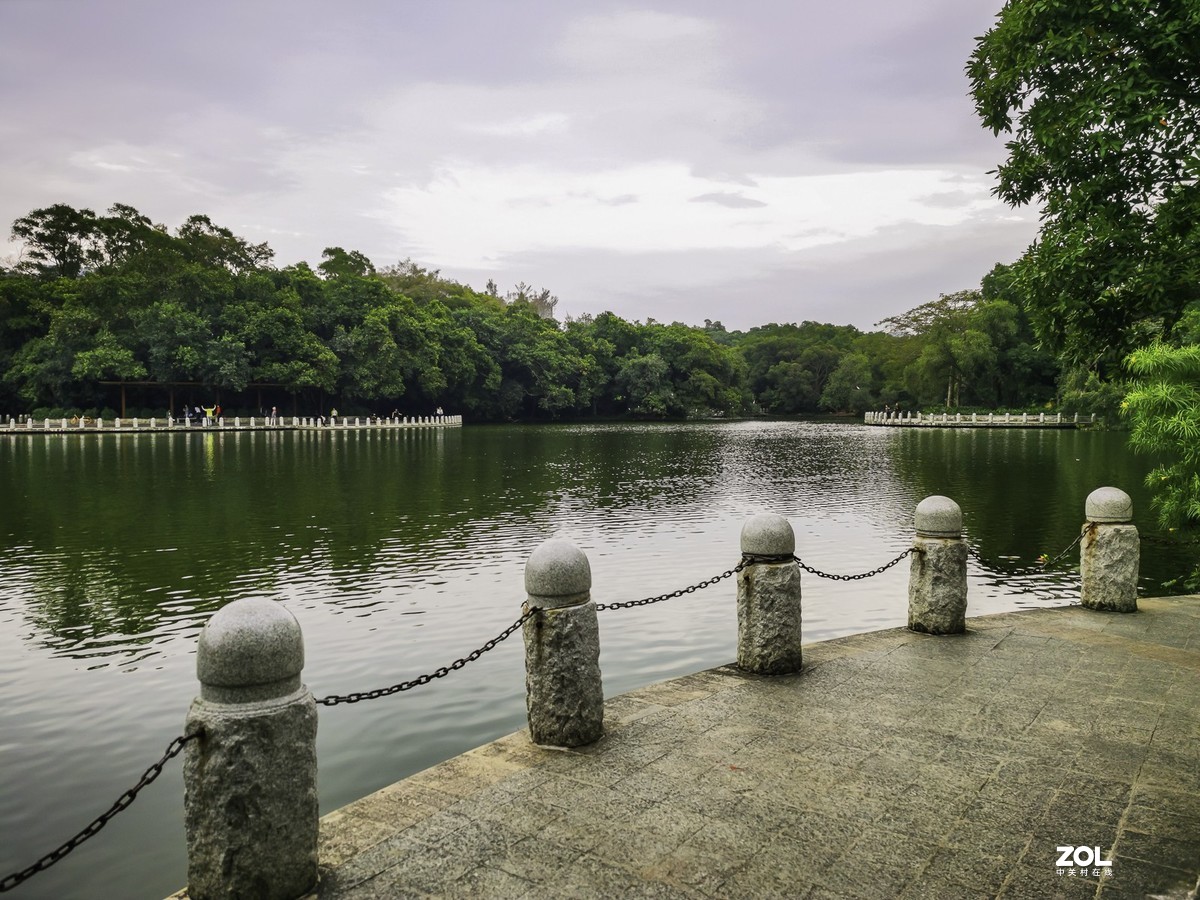 深圳東湖公園掠影