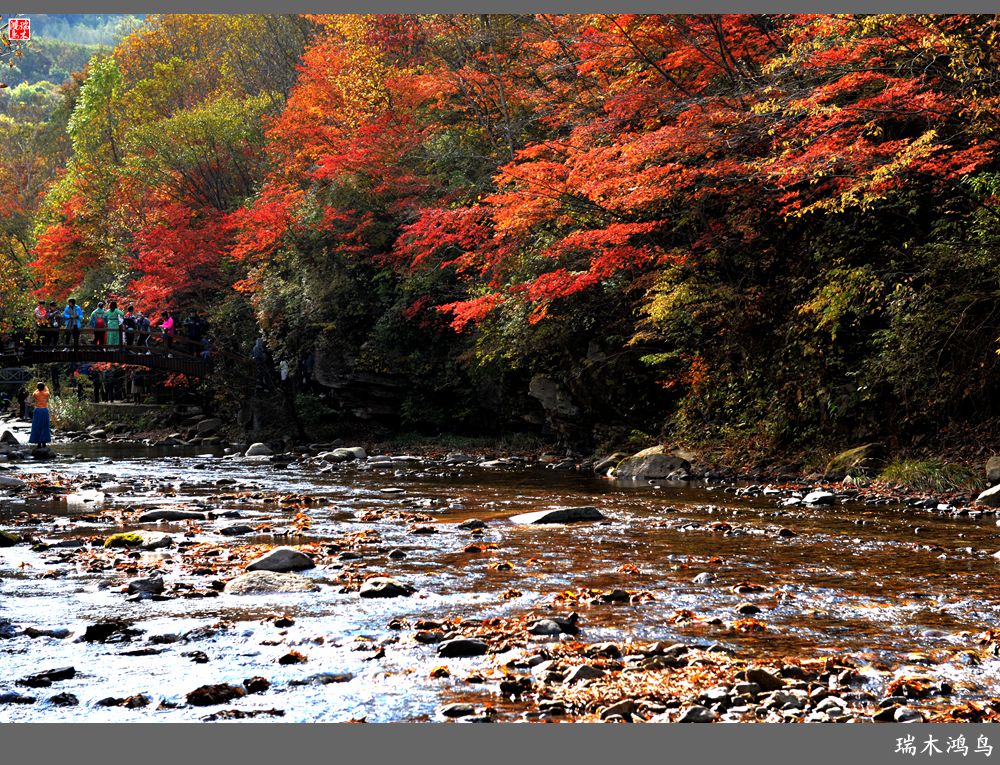 【秋游本溪】2.枫情老边沟