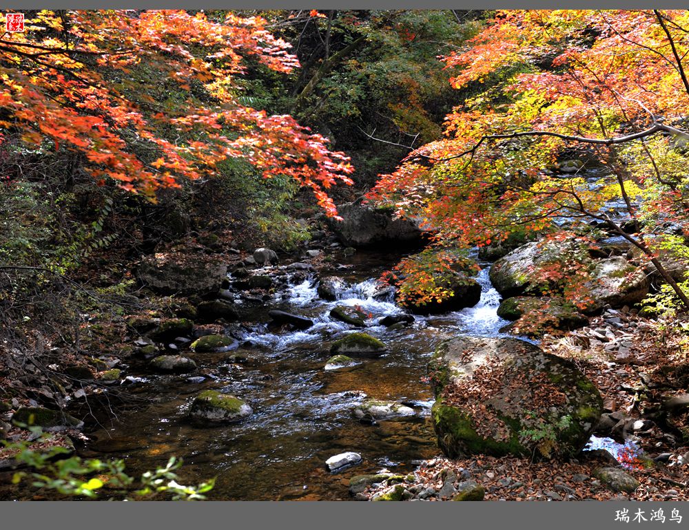 【秋游本溪】2.枫情老边沟