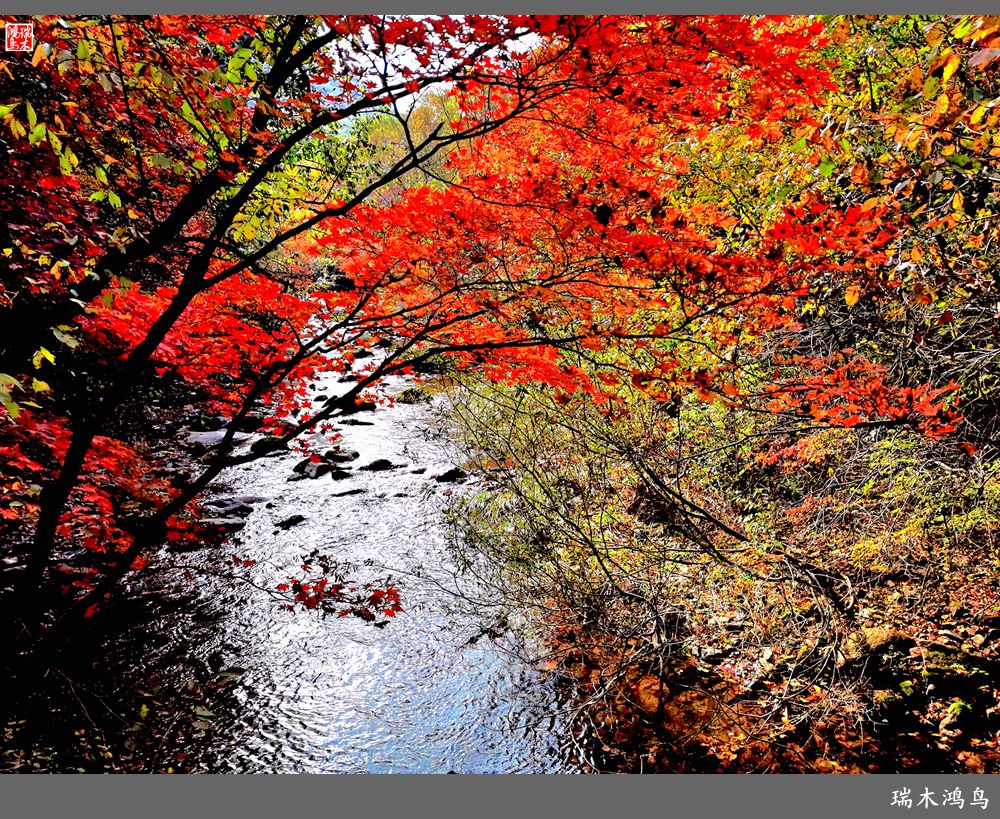 【秋游本溪】2.枫情老边沟