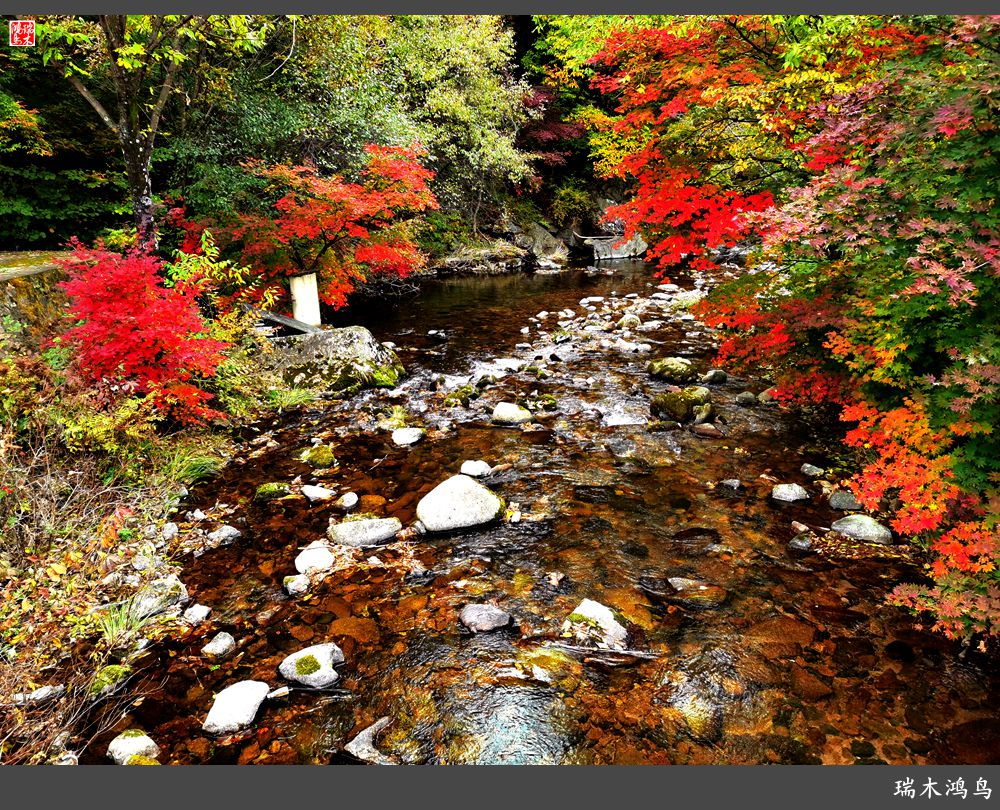 【秋游本溪】2.枫情老边沟