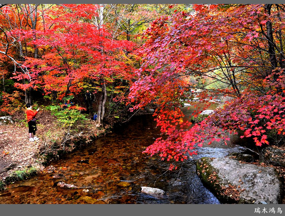 【秋游本溪】2.枫情老边沟
