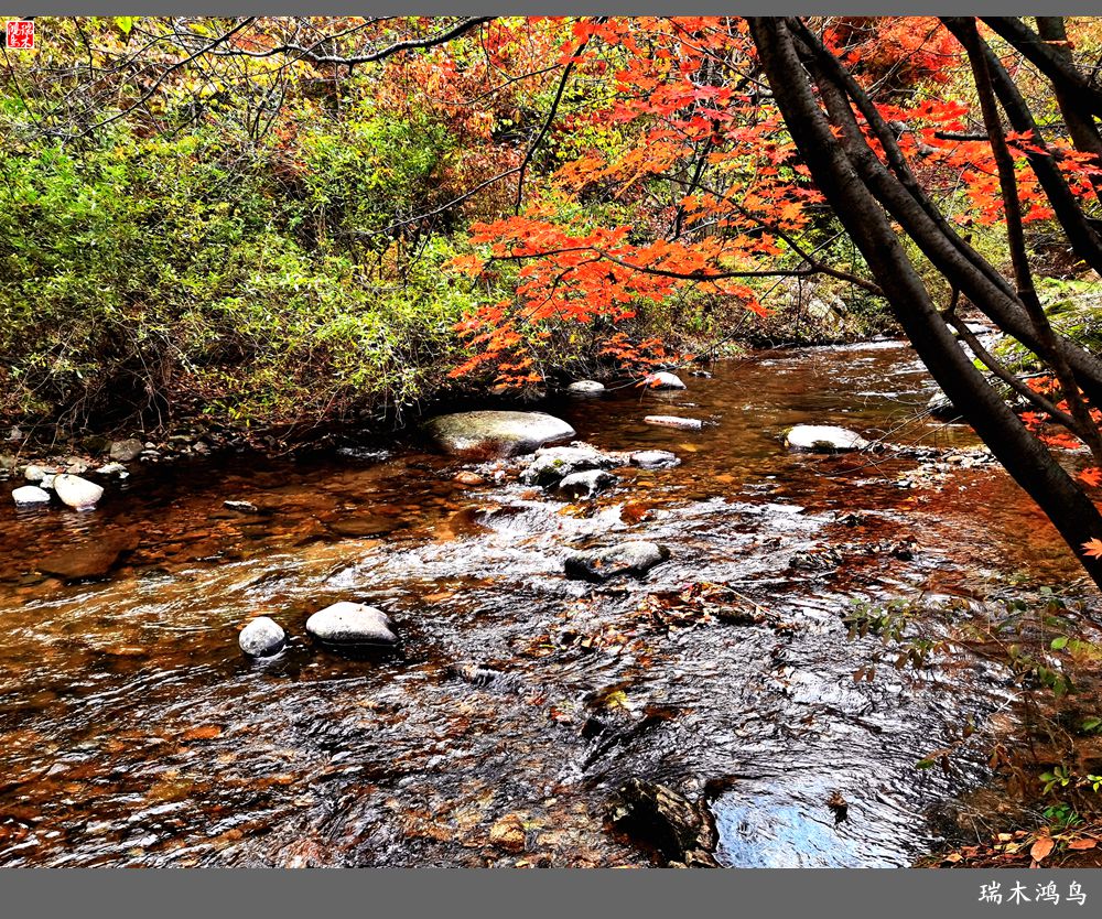 【秋游本溪】2.枫情老边沟