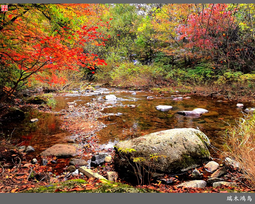 【秋游本溪】2.枫情老边沟