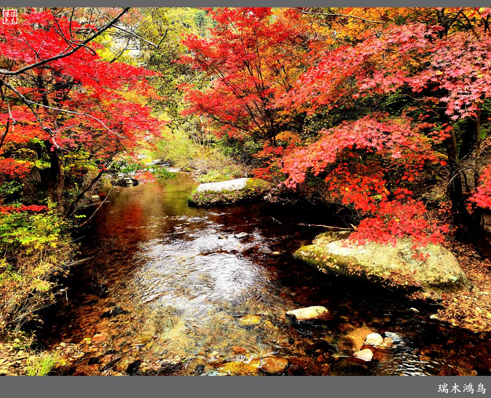 【秋游本溪】2.枫情老边沟