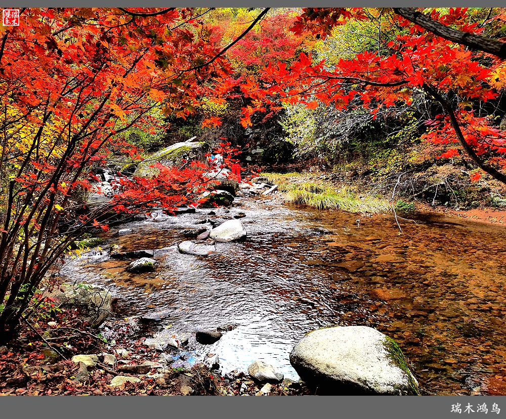 【秋游本溪】2.枫情老边沟