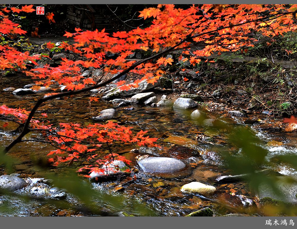 【秋游本溪】2.枫情老边沟