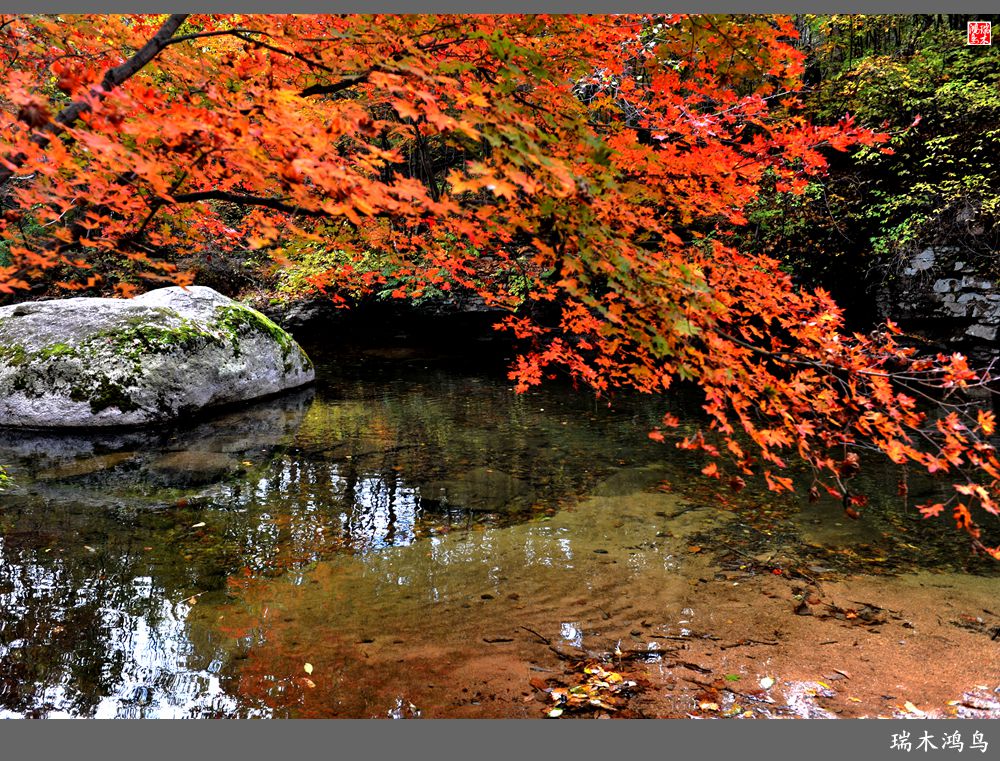 【秋游本溪】2.枫情老边沟