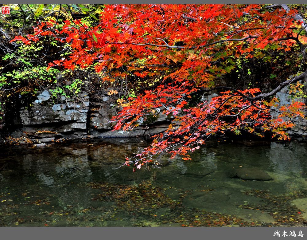 【秋游本溪】2.枫情老边沟