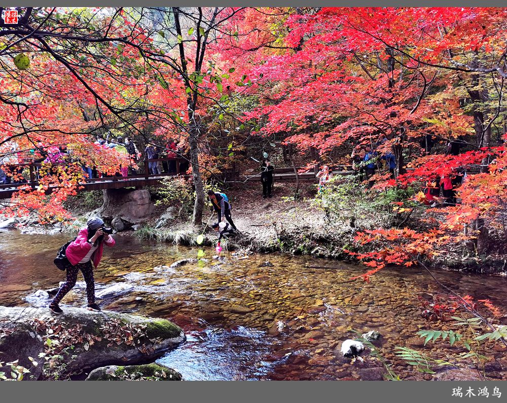 【秋游本溪】2.枫情老边沟