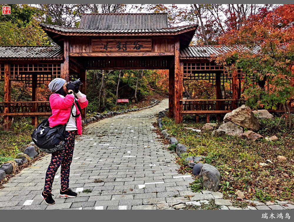 【秋游本溪】2.枫情老边沟