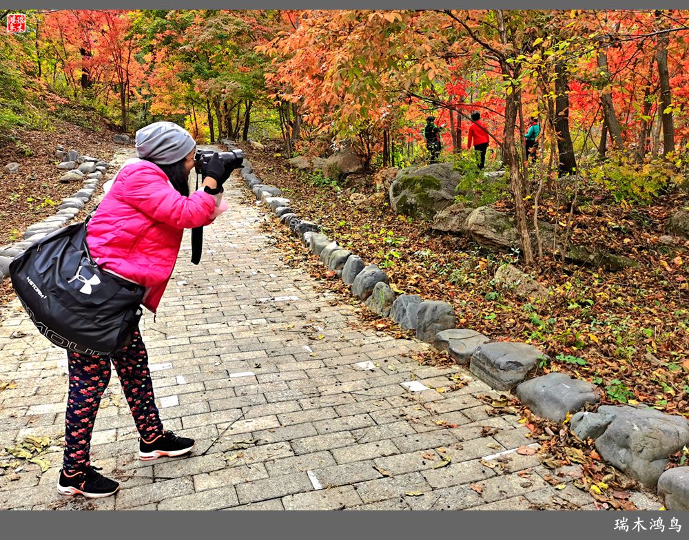 【秋游本溪】2.枫情老边沟