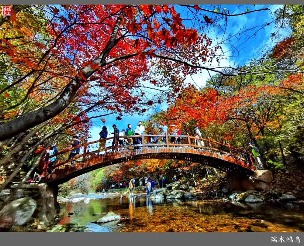 【秋游本溪】2.枫情老边沟