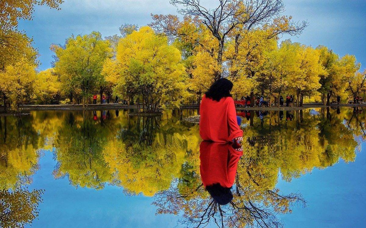 最美的秋天——金塔胡杨