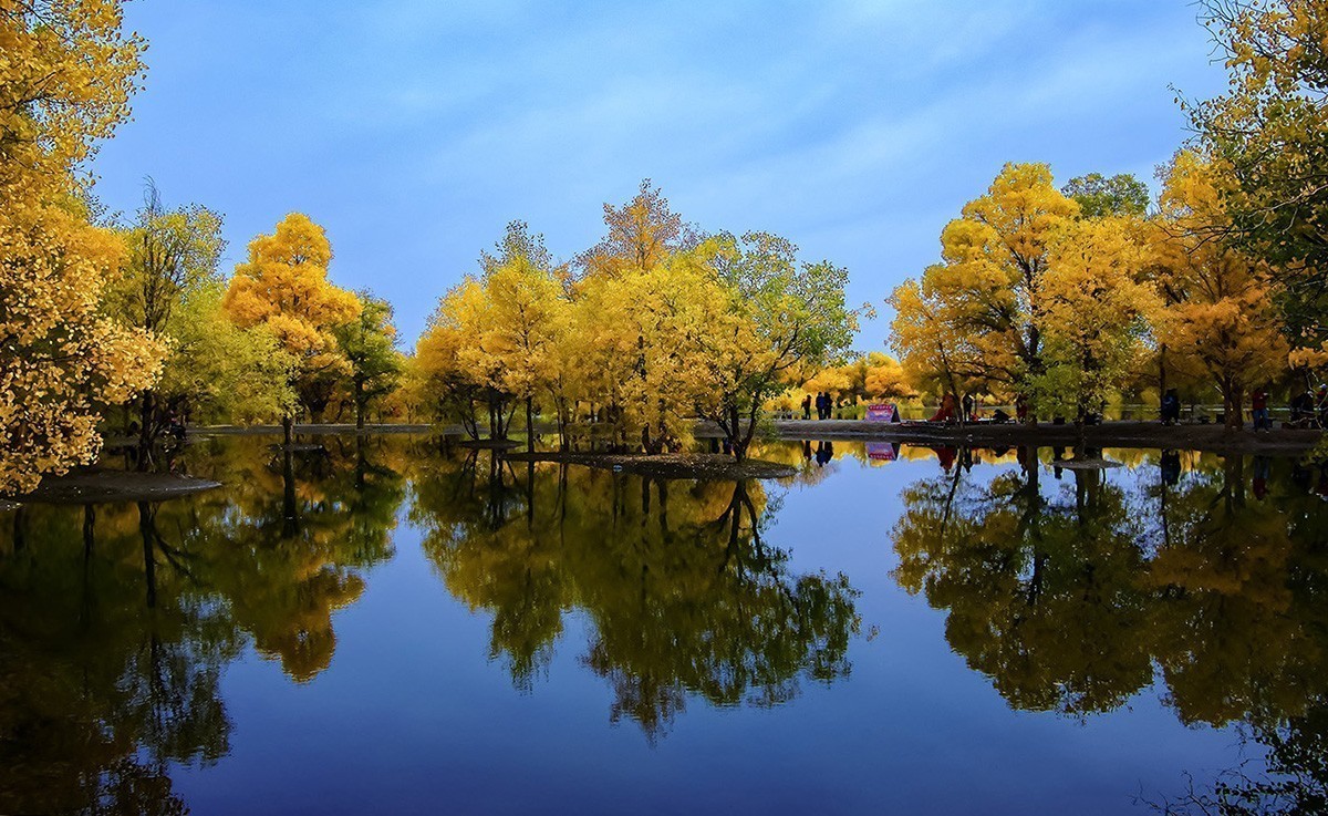 最美的秋天——金塔胡杨