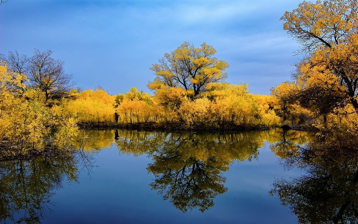 最美的秋天——金塔胡杨