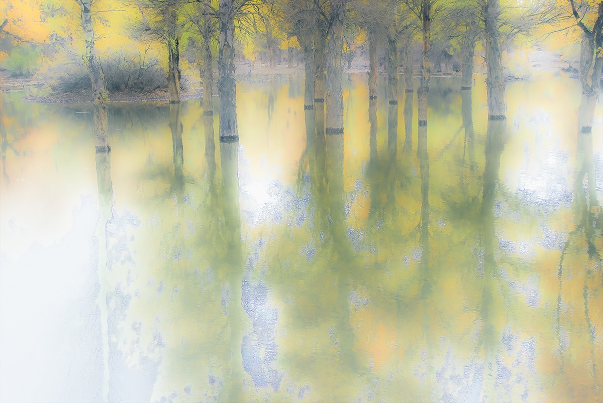 最美的秋天——金塔胡杨