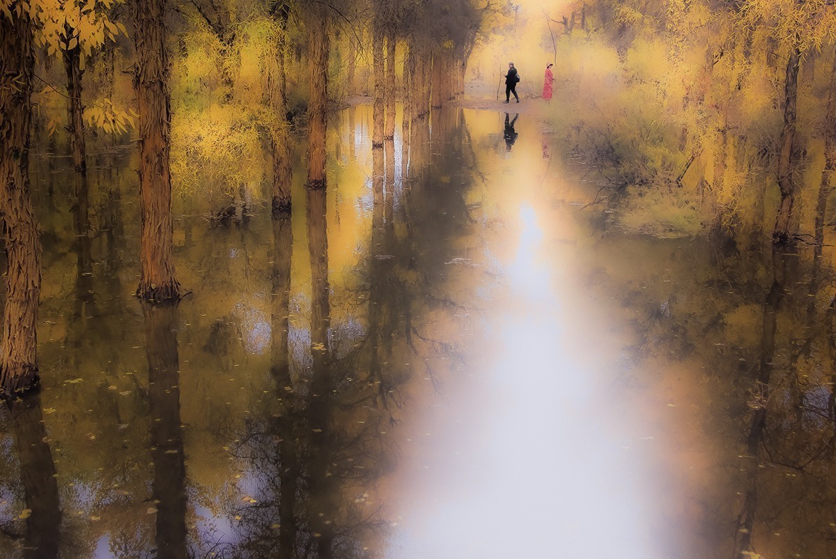 最美的秋天——金塔胡杨