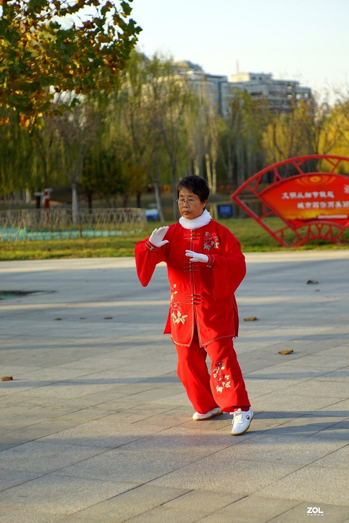 红装阿姨打太极