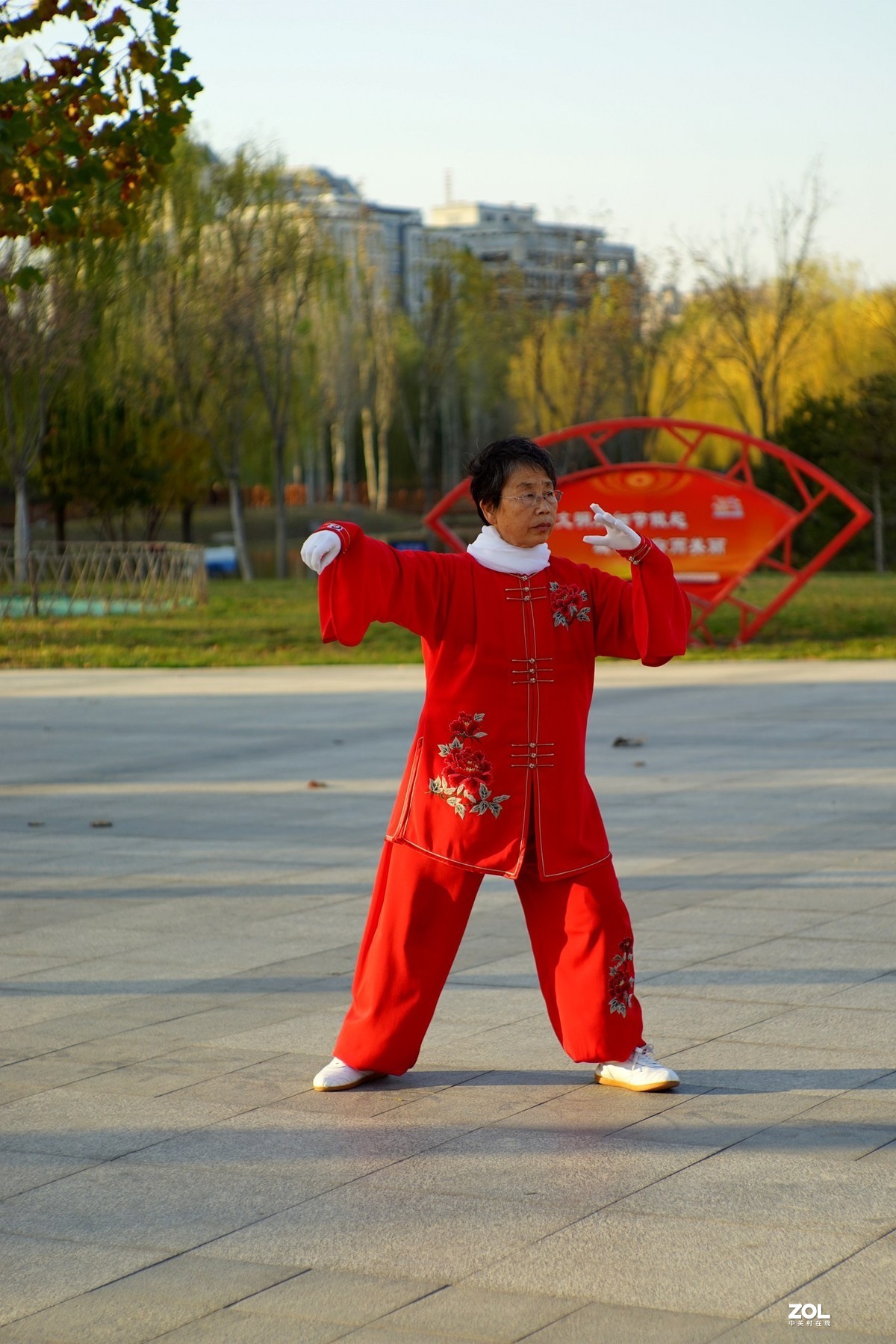 红装阿姨打太极