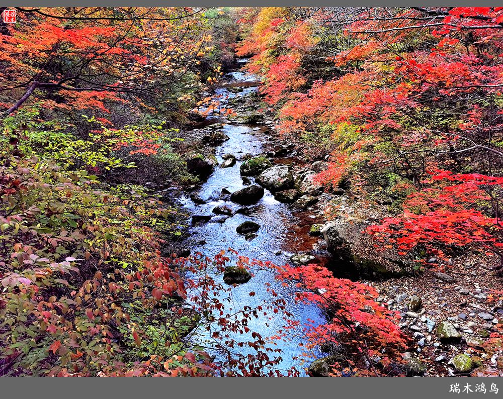 【秋游本溪】2.枫情老边沟