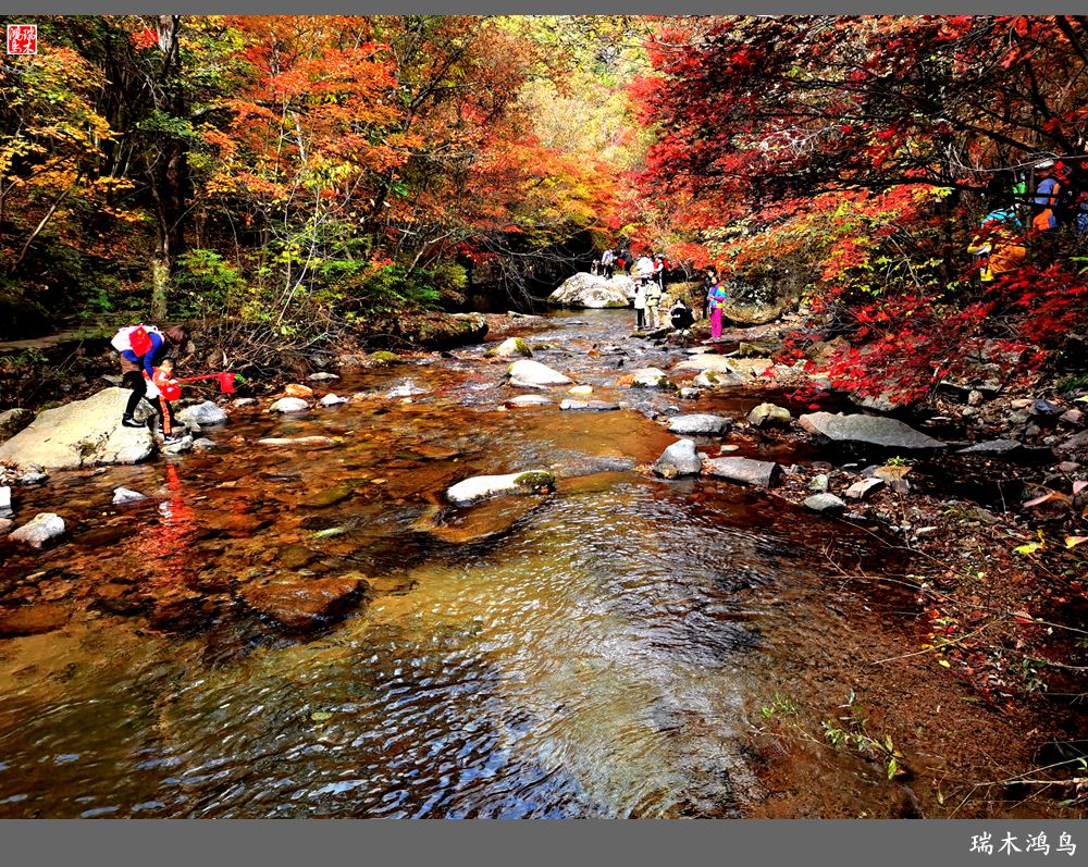 【秋游本溪】2.枫情老边沟