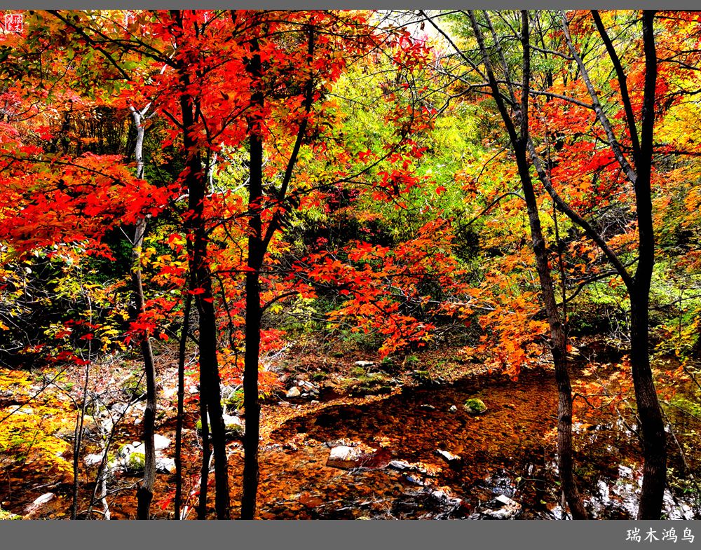 【秋游本溪】2.枫情老边沟