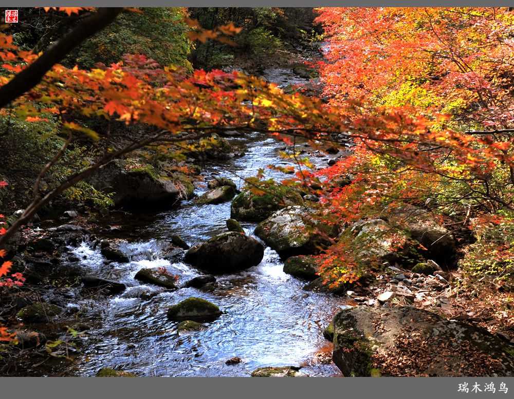 【秋游本溪】2.枫情老边沟