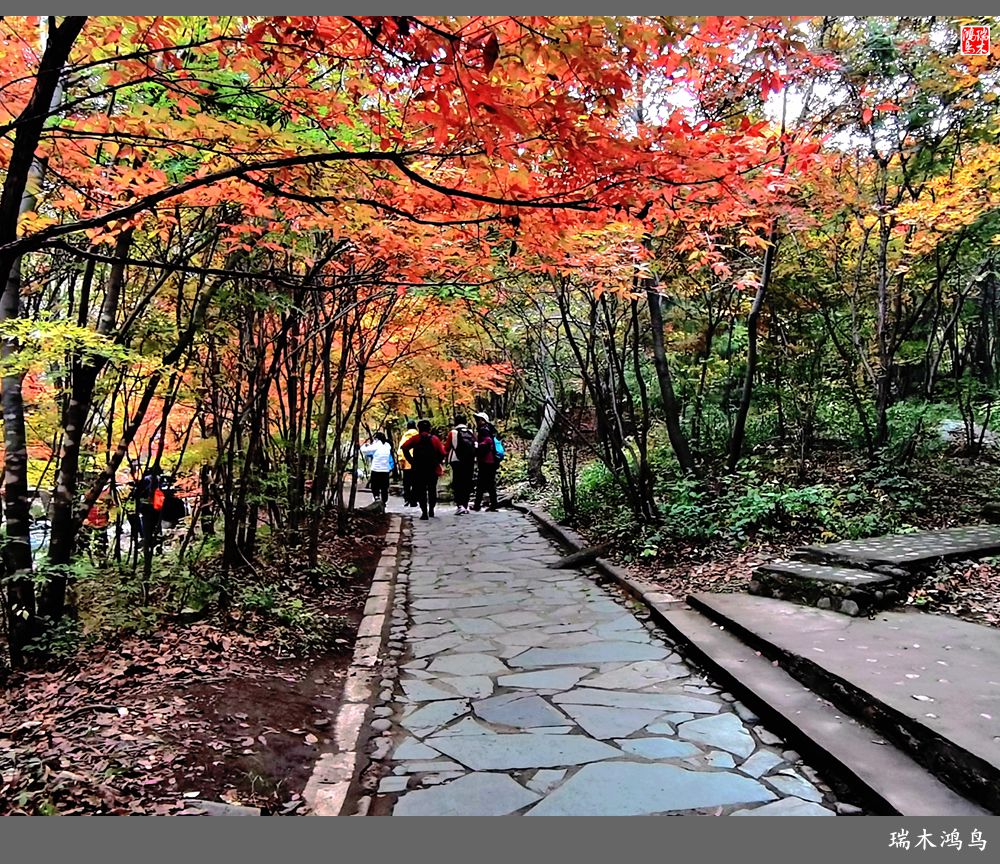 【秋游本溪】2.枫情老边沟