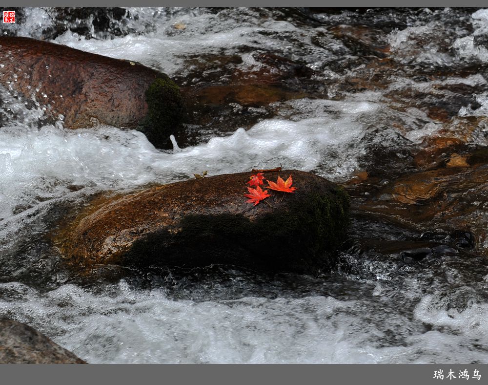 【秋游本溪】2.枫情老边沟