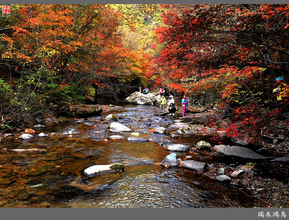 【秋游本溪】2.枫情老边沟