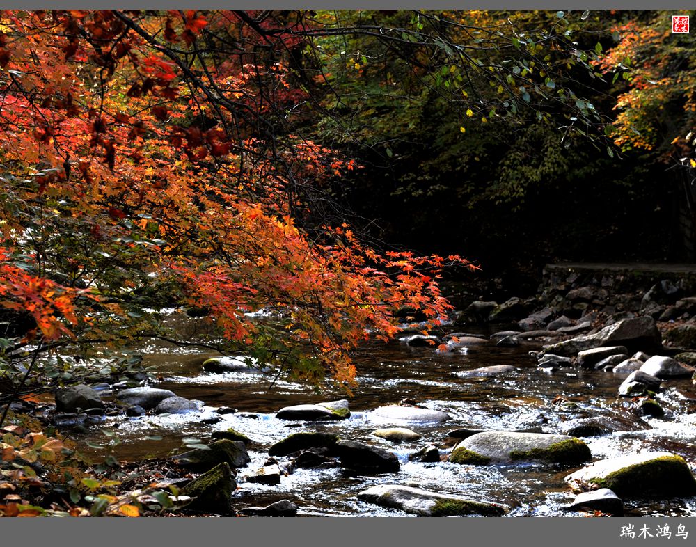 【秋游本溪】2.枫情老边沟