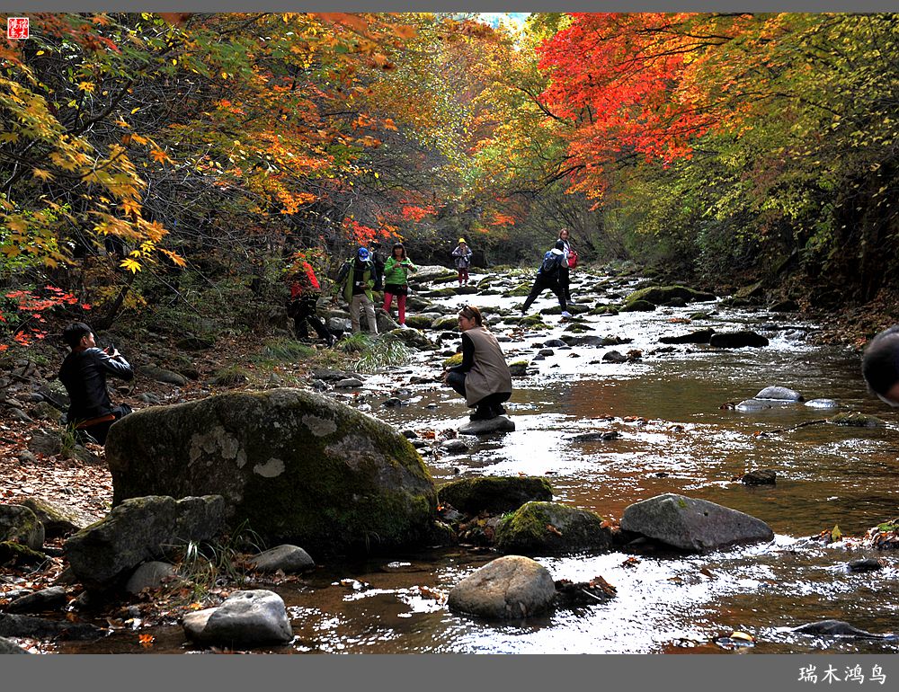 【秋游本溪】2.枫情老边沟
