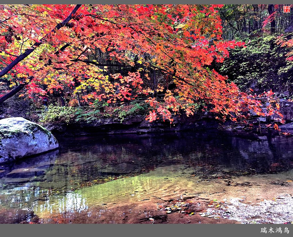 【秋游本溪】2.枫情老边沟